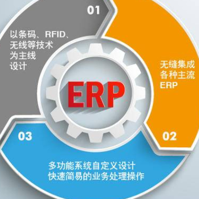 ERP软件开发